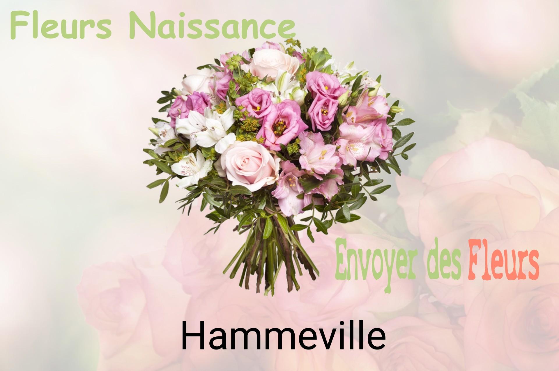 Bouquet de fleurs de naissance livré à Hammeville